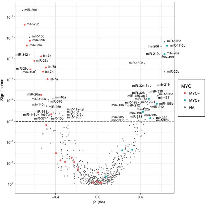 Distribution of P values in function of Spearman&#x2019;s correlations (rho) for each miRNA probe.