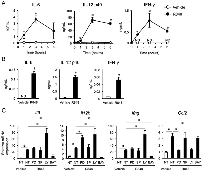 R848 induces pro-inflammatory cytokines.