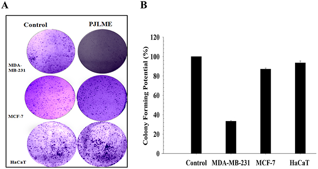 Figure 4: