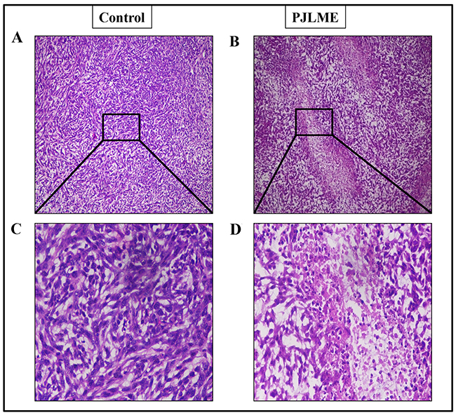 Figure 12: