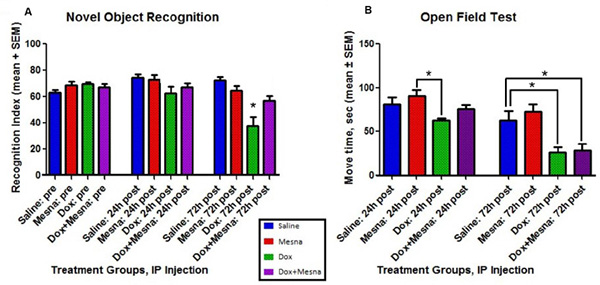 Behavior testing for male B6C3 mice treated with saline, MESNA, Dox (25 mg/kg), or Dox+MESNA.