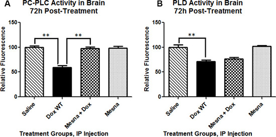 Phosphatidylcholine-specific phospholipase C (PC-PLC) and Phospholipase D (PLD) activity in brain 72 h post-treatment presented as percent saline control.