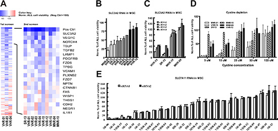 The stromal cystine transporter xc &#x2212; is essential for maintaining the viability of a subset of ALL cases.