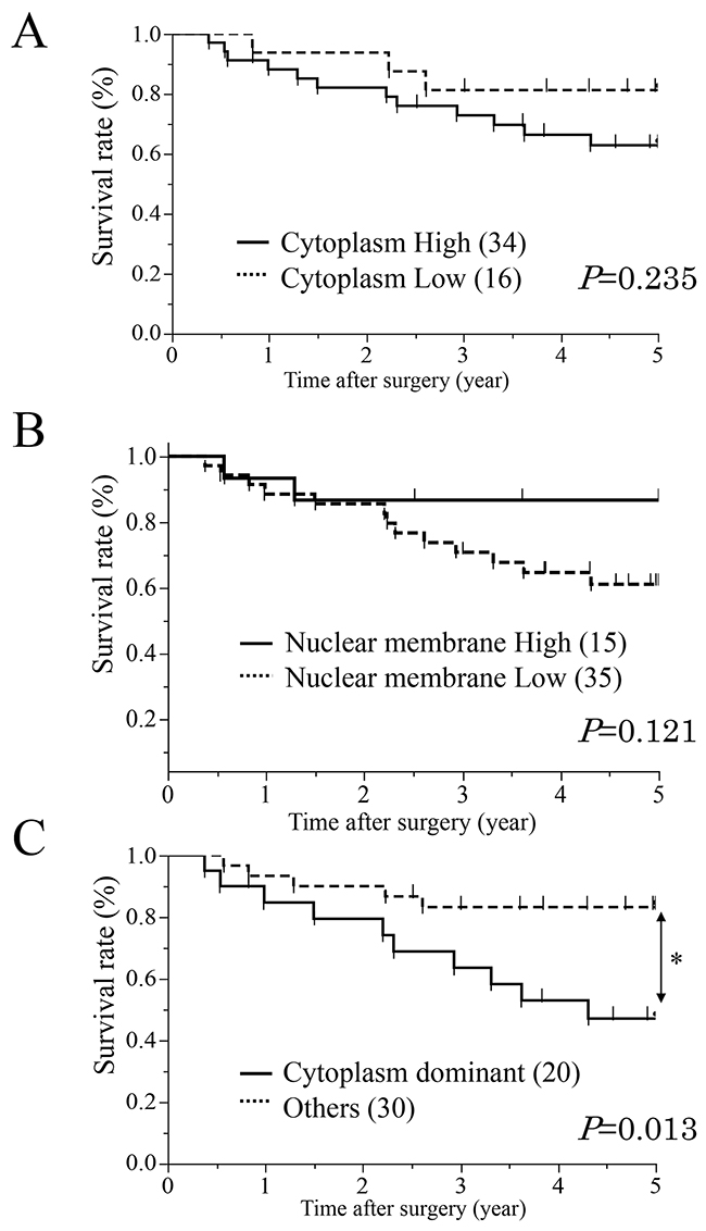 Survival curves of patients after curative resection for ESCC according to the expression of AQP1.