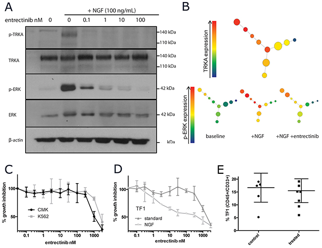 Pharmacological inhibition of TRKA in vitro and in vivo.