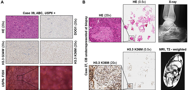 Figure 3: