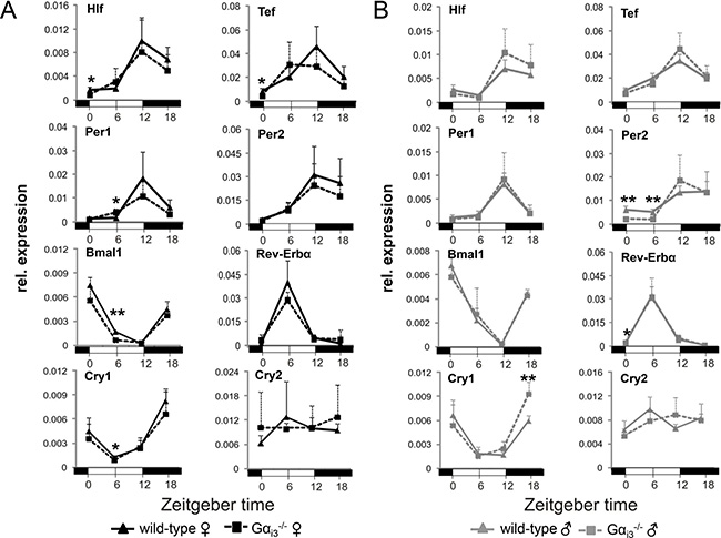 Rhythmic expression of core clock genes and clock-regulated genes in the liver of G&#x03B1;i3-/- mice.