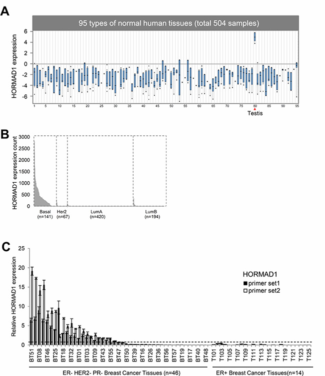 The expression of HORMAD1 in breast cancer tissues and normal human tissues.