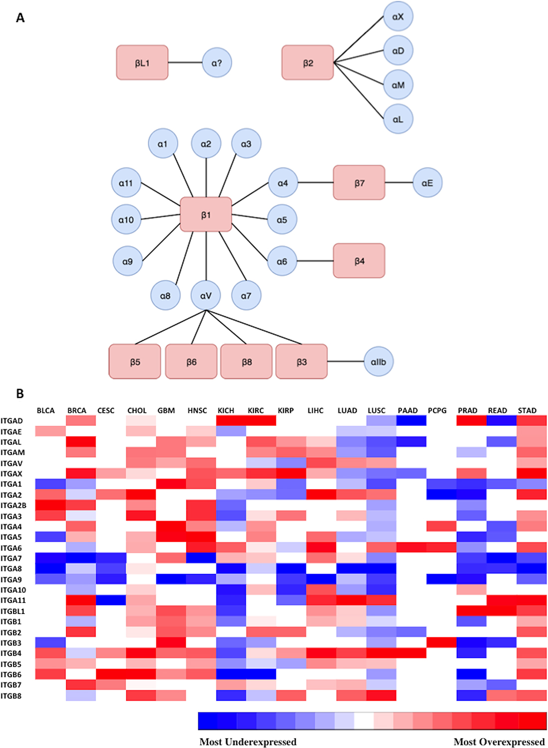 Representation of expression of 27 integrin subunits across 17 cancer types.