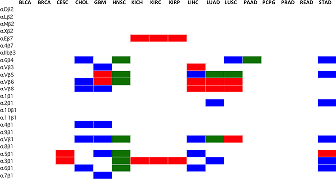 Selection of cancer type-specific therapeutically actionable integrin heterodimer receptors.