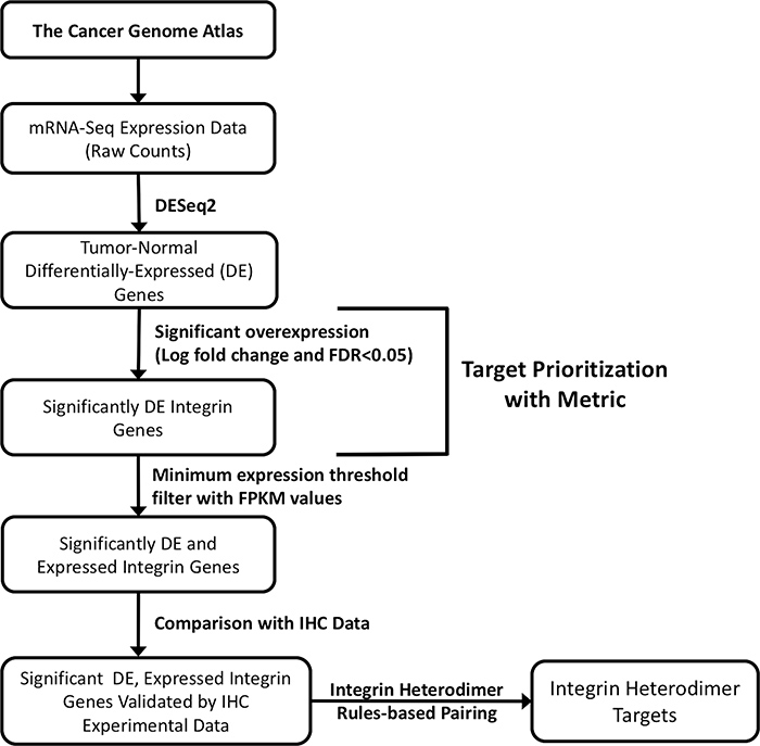 Schematic flowchart depicting the strategy for selecting integrin drug targets.