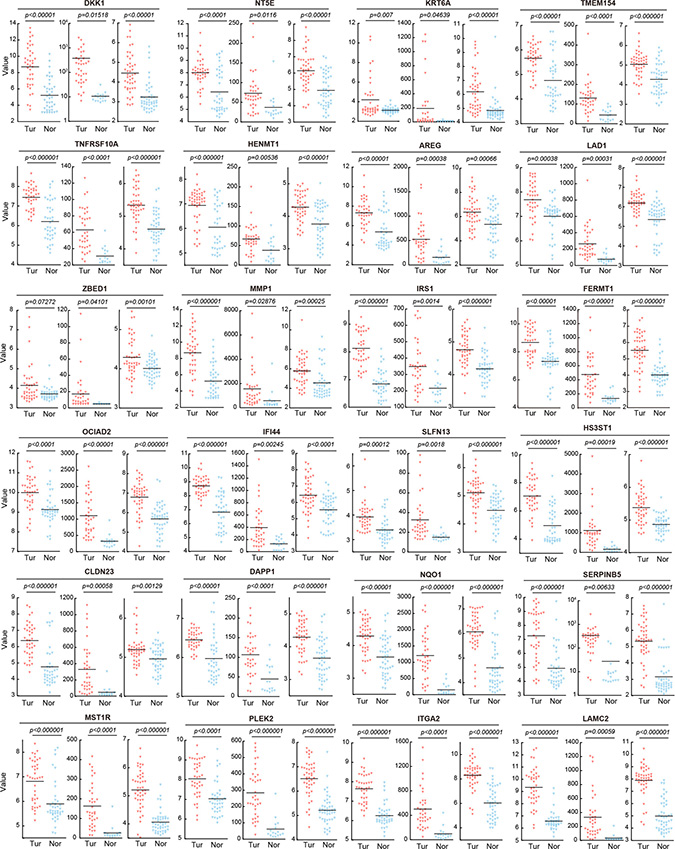 Validation of 24 DEGs by three microarray datasets in NCBI Gene Expression Omnibus (GEO).