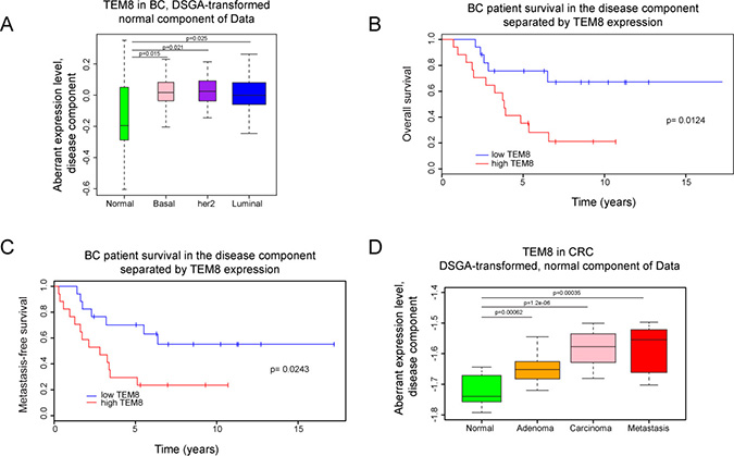 Expression of TEM8 is associated with disease in breast and colorectal cancer.