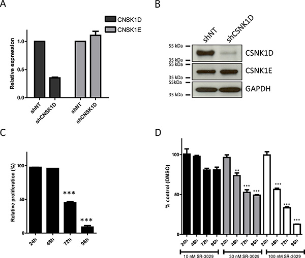 Effect of CSNK1D inactivation on proliferation of the triple negative breast cancer cell line MDA-MB-231.