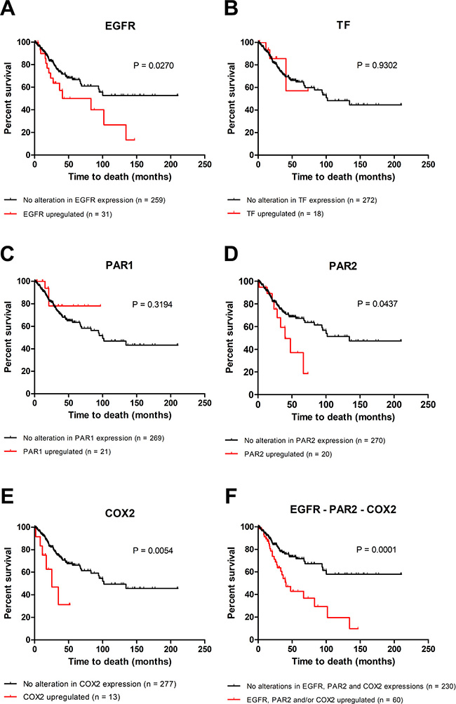 Upregulation of EGFR, PAR2 and COX2 is associated with poor overall survival in cervical cancer.