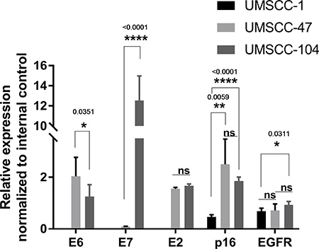 Relative expression of E6, E7, E2, p16 and EGFR in UMSCC-1, UMSCC-47 and UMSCC-104 head and neck cancer cell lines.