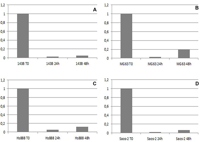 The mRNA expression level of KMT2C detected by real-time PCR before (T0), 24 and 48 hours after KMT2C siRNA transfection