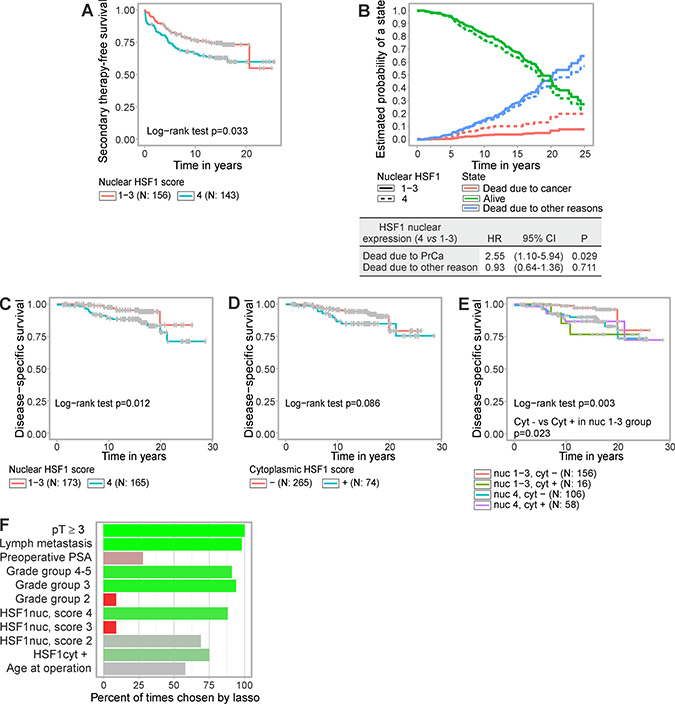 Elevated HSF1 expression predicts shorter time to secondary therapy and poorer disease-specific survival after radical prostatectomy.
