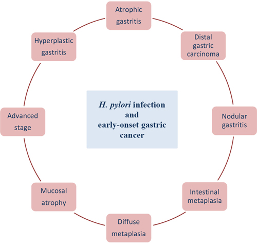 H. pylori infection at the age before 45 years.