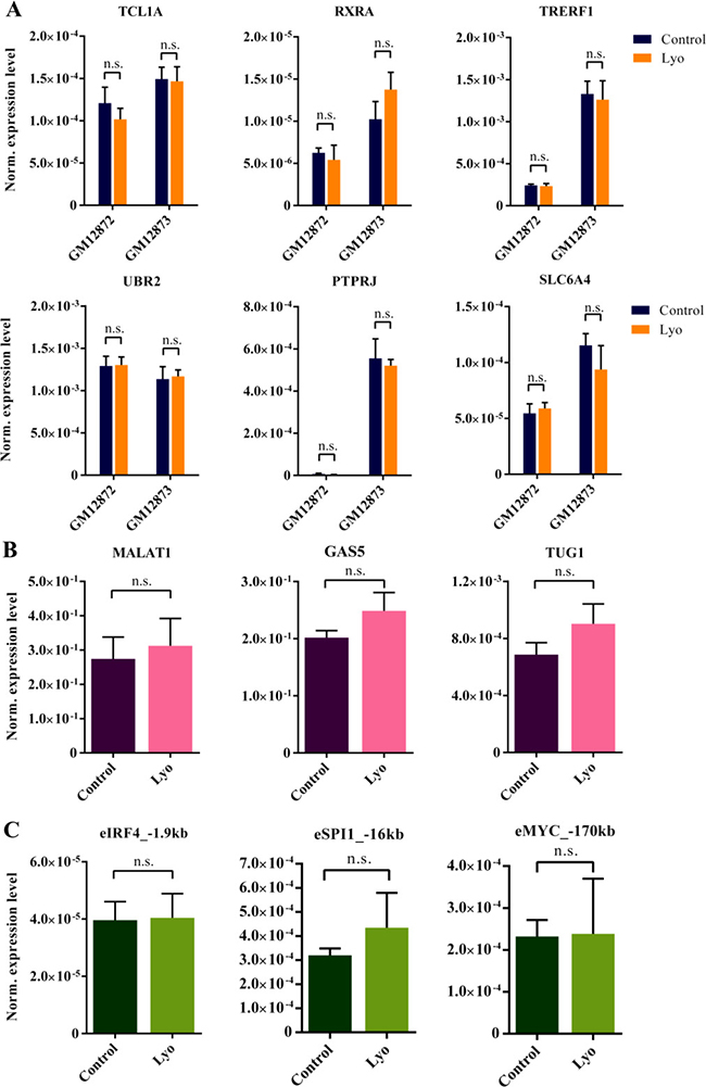 RT-qPCR measurement of mRNAs, lncRNAs and eRNAs with different abundances from total RNA isolated from paired control and lyophilized cells.