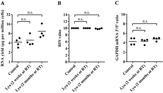 Quality control of total RNA isolated from paired control and lyophilized samples stored for two weeks or two months at room temperature.