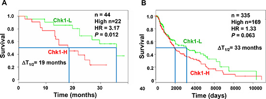 High Chk1 expression is associated with poor prognosis of melanoma.
