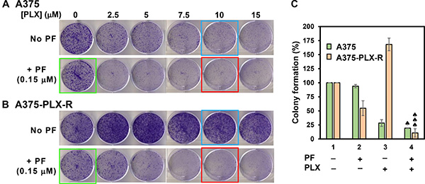 Figure 5: