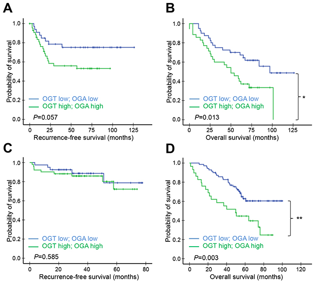 Kaplan&#x2013;Meier survival analysis of patients according to both OGT and OGA levels.