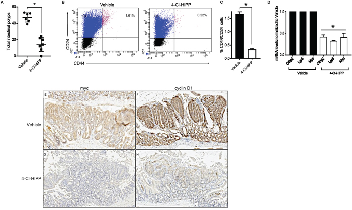 Pharmacological inhibition of Ctbp2 decreases polyposis and TIC populations in Apc min/+ intestinal epithelia.