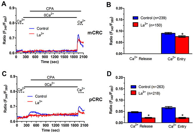 La3&#x002B; inhibits ER-dependent Ca2&#x002B; release in patients-derived colorectal cancer cells.