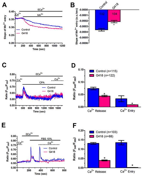 G418 inhibits constitutive Ca2&#x002B; entry and reduces InsP3-dependent Ca2&#x002B; release in metastatic colorectal cancer cells.