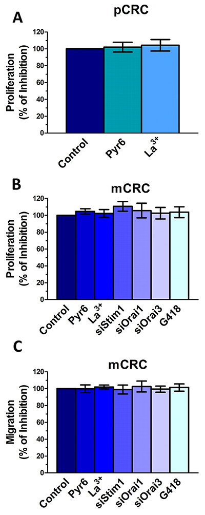 Genetic and pharmacological inhibition of constitutive Ca2&#x002B; entry does not affect proliferation and migration in colorectal cancer cells.