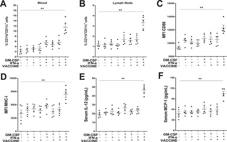 GM-CSF/IFN-&#x03B1;/VACCINE promoted both the production and the function of CD11b+CD11c+ DC.