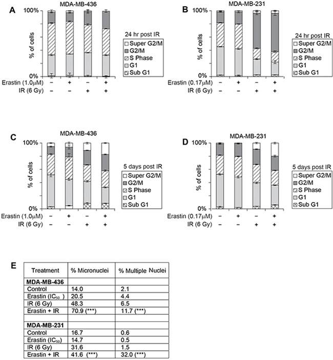 Erastin sensitization and SLC7A11-directed mutation increase radiation-induced cell death and genome instability.