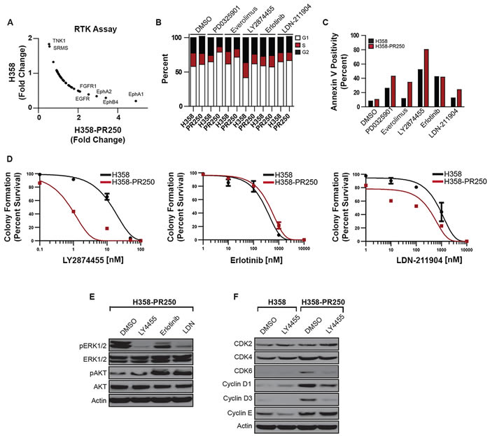 FGFR1 activity promotes signals through ERK/mTor in palbociclib-resistant NSCLC cells.