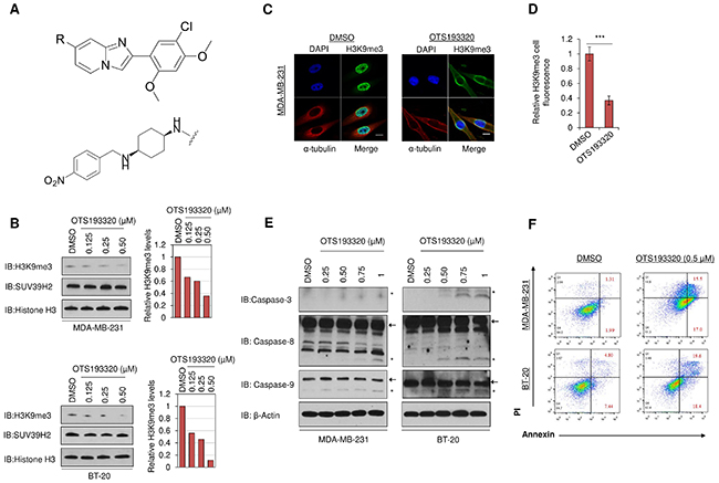 Chemical structure of the novel SUV39H2 inhibitor and in vitro characterization of OTS193320.