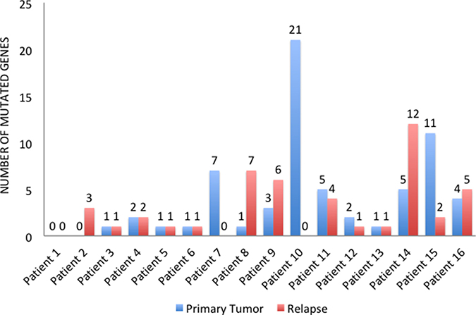 Number of mutated genes in primary tumors and relapsed tissues.