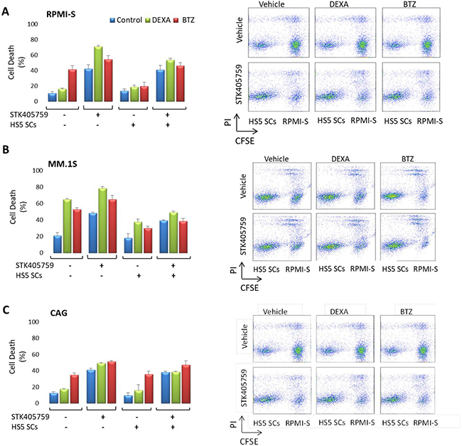 MM cells were sensitive to STK405759 in combination with DEXA or BTZ in the presence of bone marrow stoma cells.