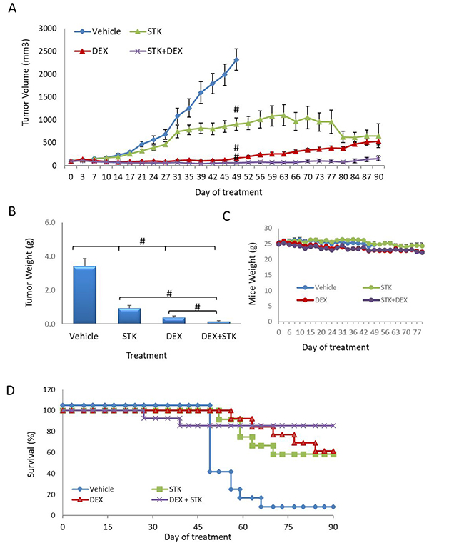 STK405759 in combination with DEXA decreased tumor growth in a MM xenograft mouse model.