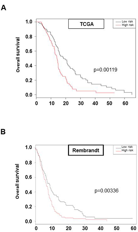 High expression of the six genes set: FGFR1/FOXM1/MELK/GLI2/ZEB1/TWIST1 is prognostic of survival of GBM patients.