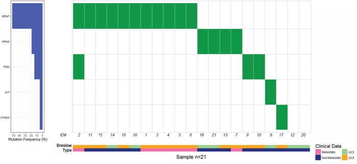 Distribution of gene mutations in metastatic and non-metastatic thin melanoma cases, labeled by pink and blue bars, respectively.