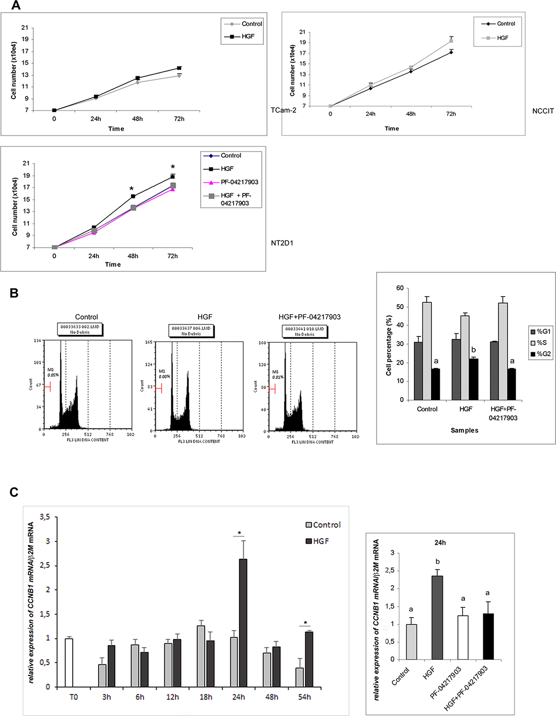 Proliferation assays after HGF treatment in TGCT cell lines.