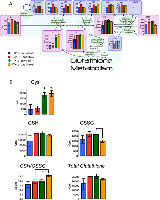 Glutathione (GSH) metabolism analysis after treatment with paclitaxel in uterine serous carcinoma cells.