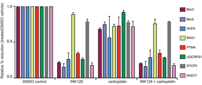 Figure 5: qRT-PCR analysis of select mRNAs in mTORC1/2 inhibited cells with and without carboplatin treatment.