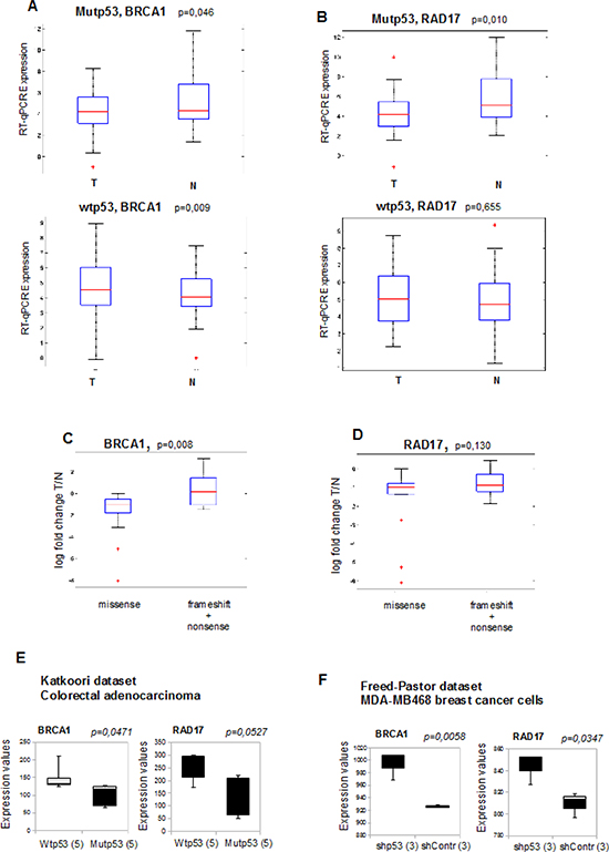 Reduced expression of DNA repair genes correlates with mutant p53 expression in cancer patients.