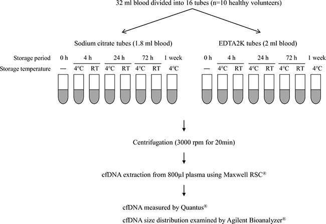 Schema for examining effects of anticoagulant and storage condition on quality of cfDNA.