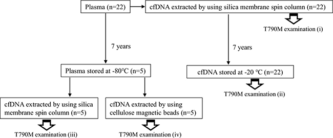 Experimental design for analysis of influence of long-term storage on cfDNA and plasma.