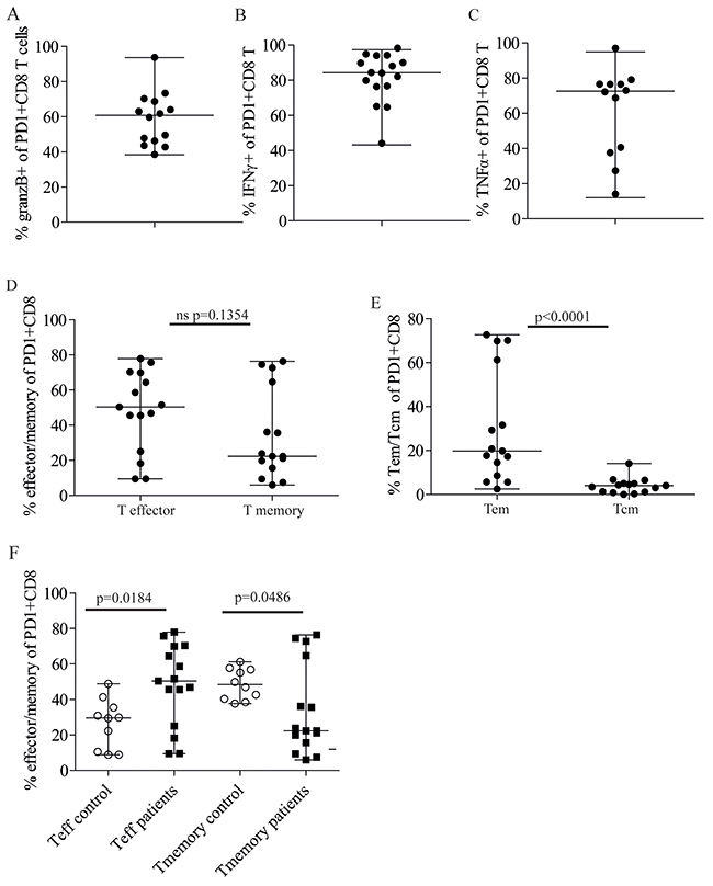 Majority of PD1&#x002B;CD8&#x002B; T cells in patient bone marrow are Granzyme B&#x002B; and produce IFN&#x03B3; and TNF&#x03B1;.