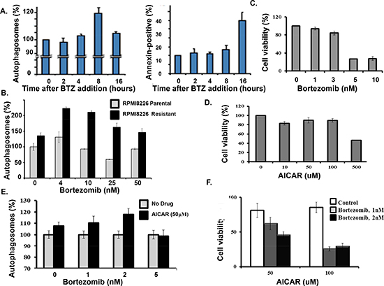 AICAR effect on bortezomib-induced cell death.