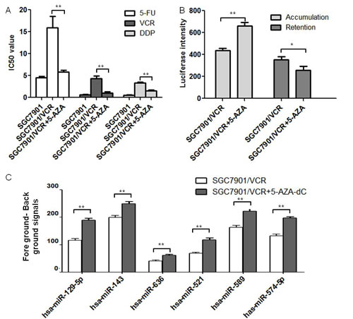 MiR-129-5p was hypo-methylated in gastric cancer MDR cell lines after 5-AZA-dC treatment.